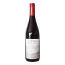 Zorzal  Terroir Único Pinot Noir 2021 750ml